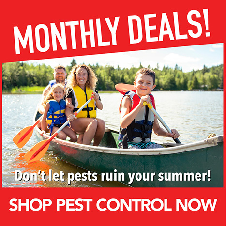 Shop Pest Control Deals